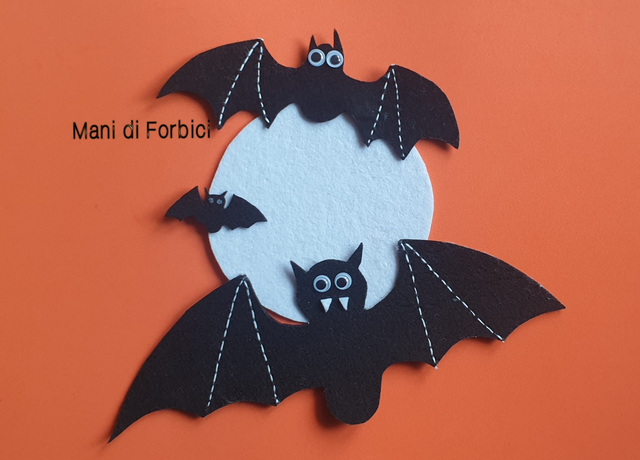 PIPISTRELLI  IN VOLO