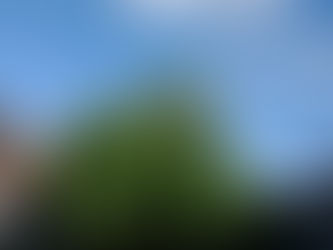 This is a similar photo I took at my friend's home.