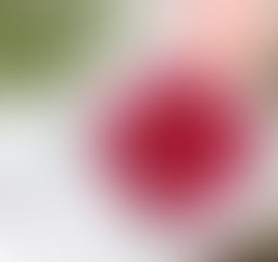 True wisdom comes from God