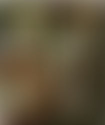 The Grace of the Almighty Volunteer!