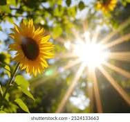 Shining ever brighter!