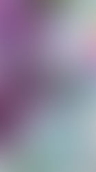 Apologetics 1 Peter 3:15