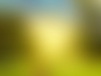 Making Everything New