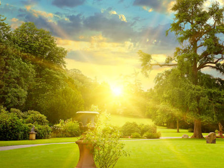 Making Everything New