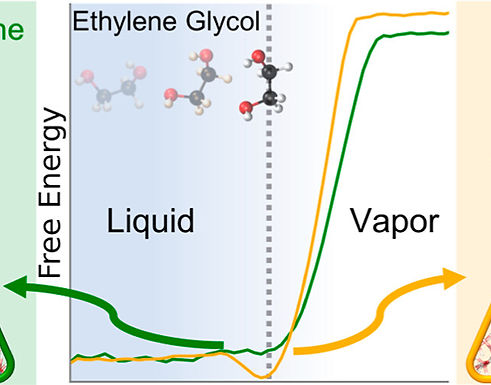 Molecular Liquids