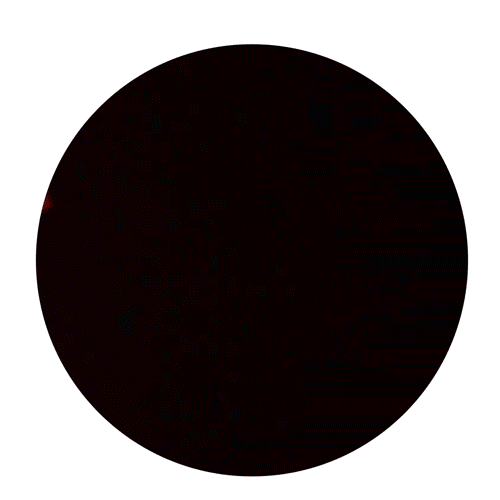 contact-circle-small.gif