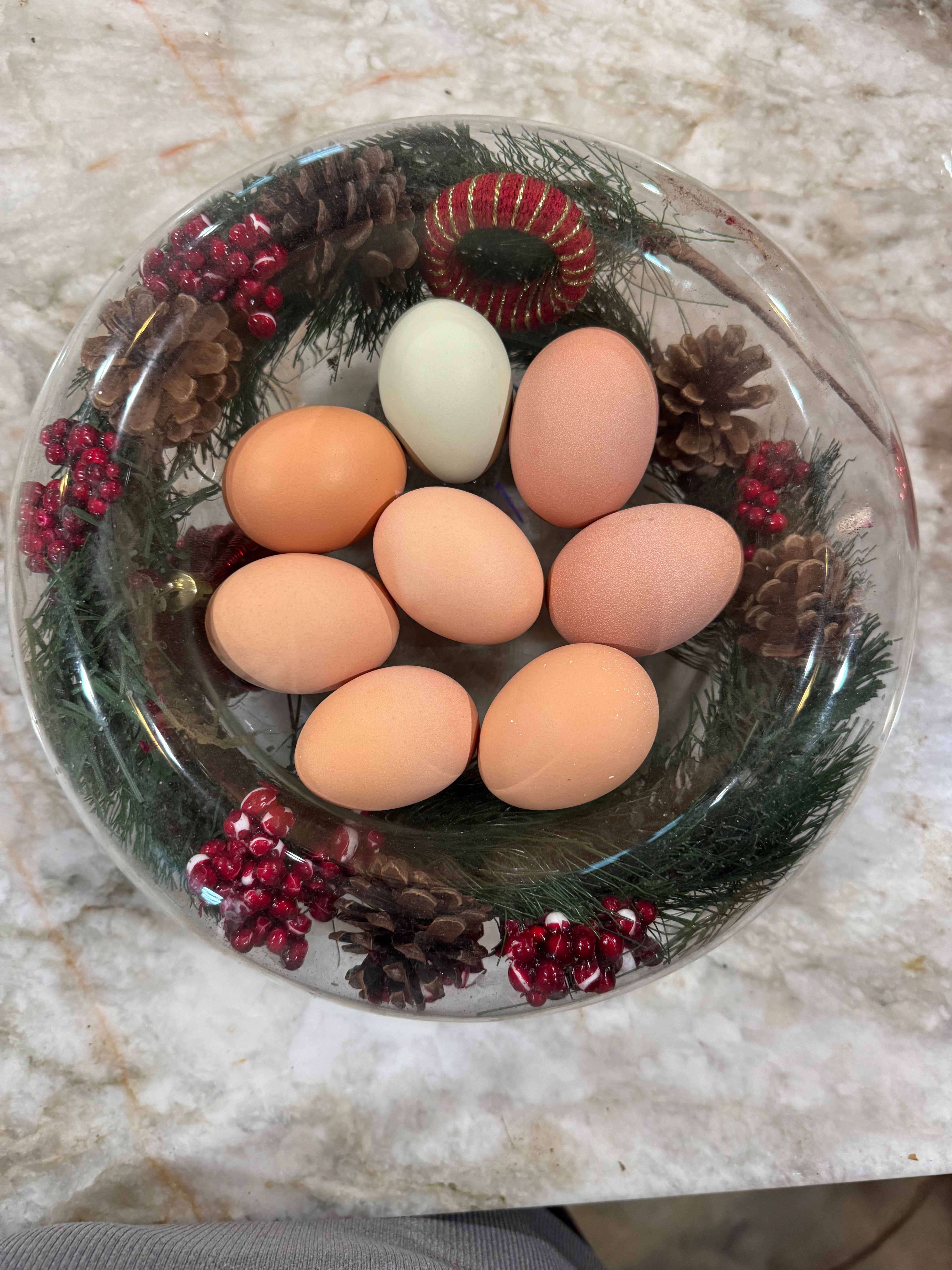 Farm Fresh Eggs