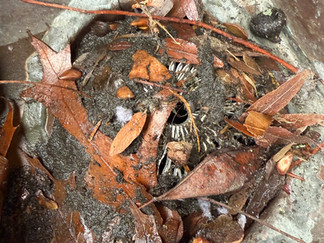 Copper Gutters without copper leaf protection can damage your copper faster.