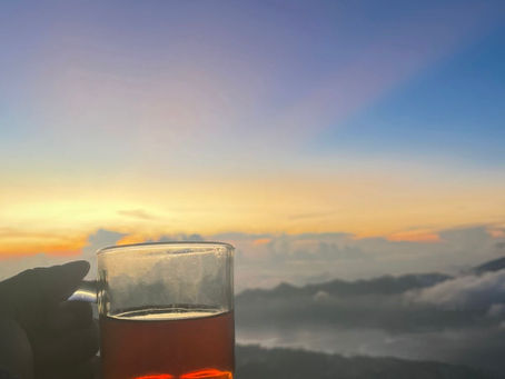 A Letter to Anybody Feeling Lonely