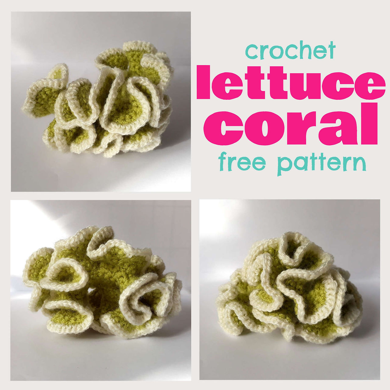 crochet sea anemone lettuce coral ammonite handmade diy free pattern crochet coral reef ravelry pinterest fat cat crochet
