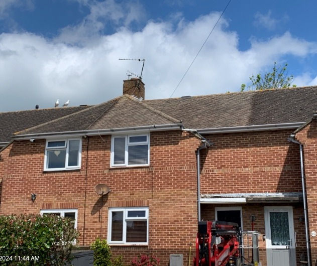 Professional exterior cleaning and coastal property maintenance Bexhill services protecting a seaside residence from corrosive maritime salt air and damp