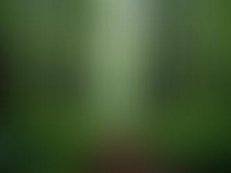 Sustainable Forestry Services for a Greener Future