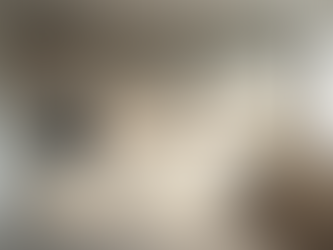 Maximise Your Home's Potential with Expert Renovations