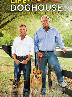 Danny-Ron-Rescue-Dorset-Dog-Walking-Wimb