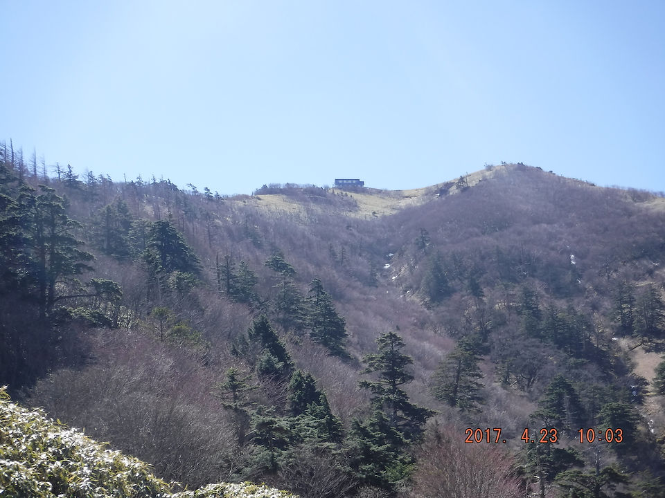 DSCF1922