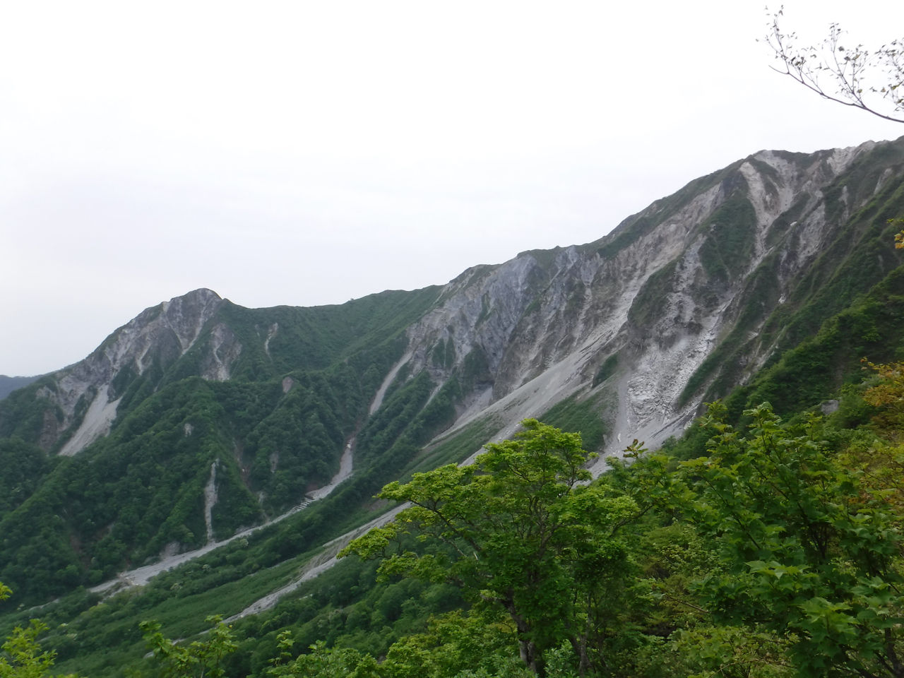 大山の頂上？