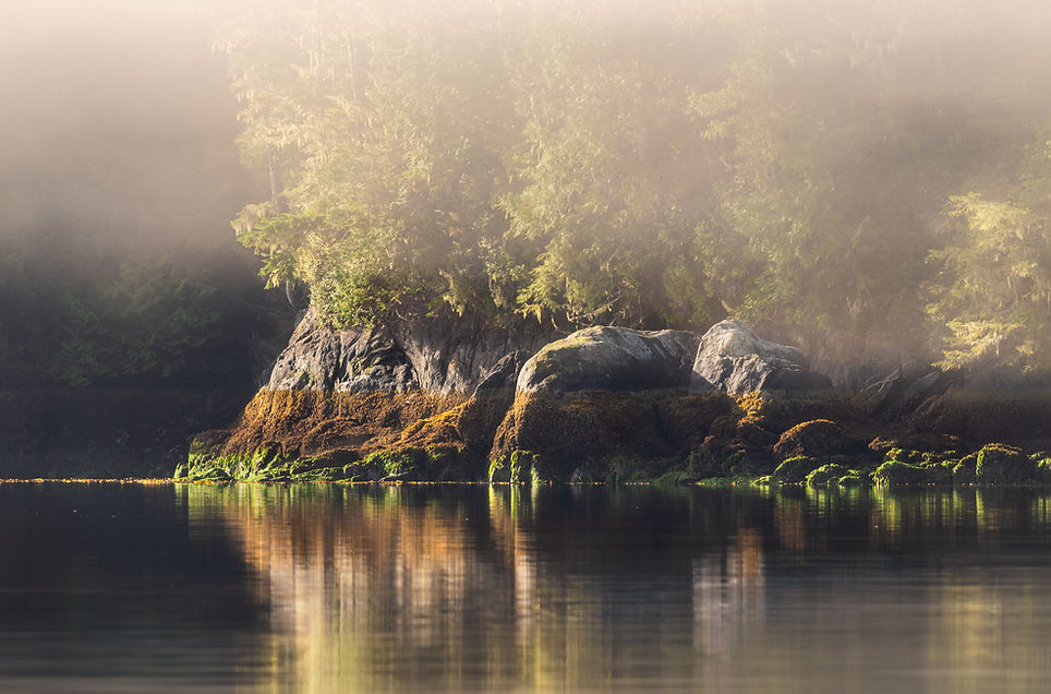 Matt Shannon Photography