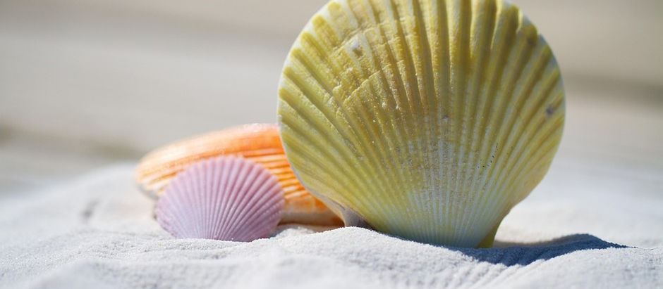Taking the Summer to Heal: A Guide for College Students Considering Eating Disorder Treatment