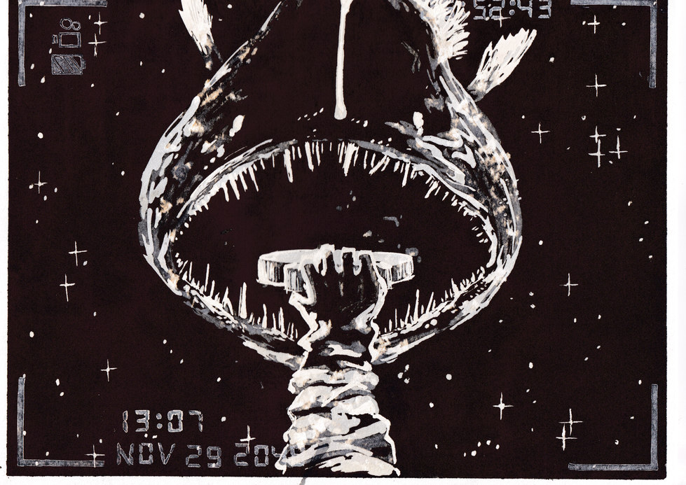 Angler Fish 1
