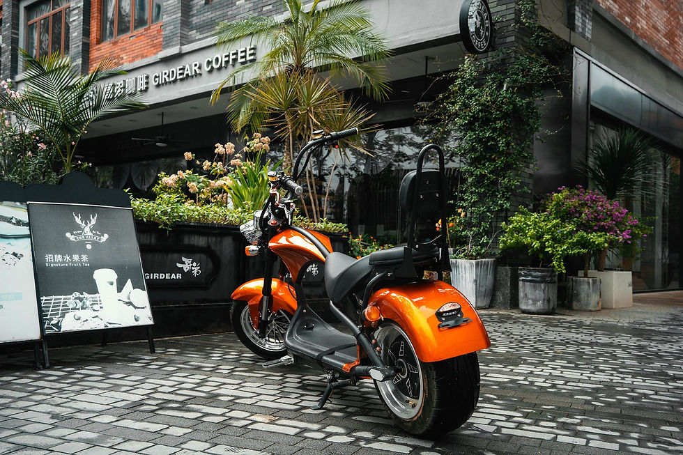 Thumbnail: Eahora Motorcycle Two-Seat M1P Rear Seat