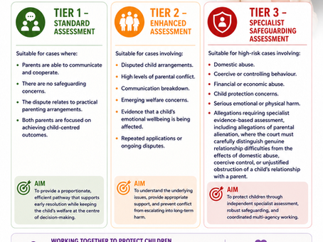 DN Family Law Reform Proposal - A Mandatory Three-Tier Family Assessment System