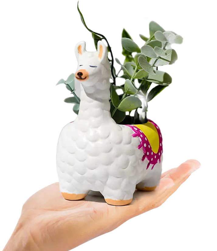 FaDPage_Section 3_Llama on Hand.webp