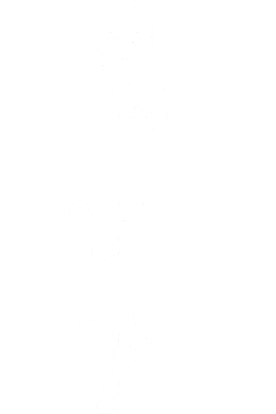 Bubble Tea Drink, Scissors, and Whisk