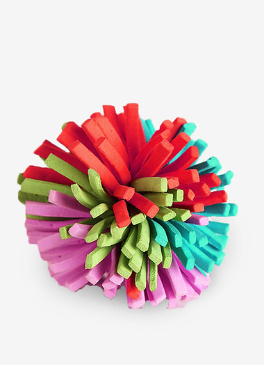 Pet Toy