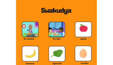 Thumbnail: 10 X Xitsonga Posters Pack 1