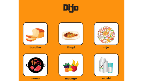 Thumbnail: 10 X Setswana Posters Pack 1