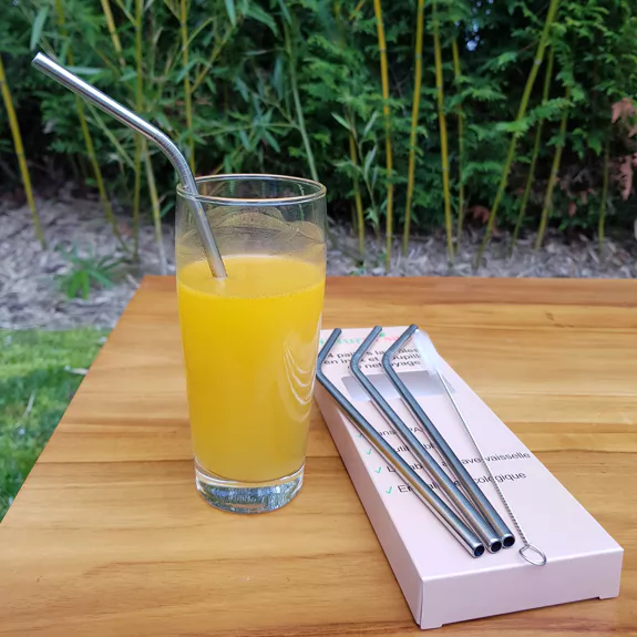 Pailles Inox Metaltex - Longueur 21cm - Avec Goupillon Nettoyage - Réutilisables écologiques