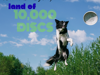 Land of 10,000 Discs 2026 