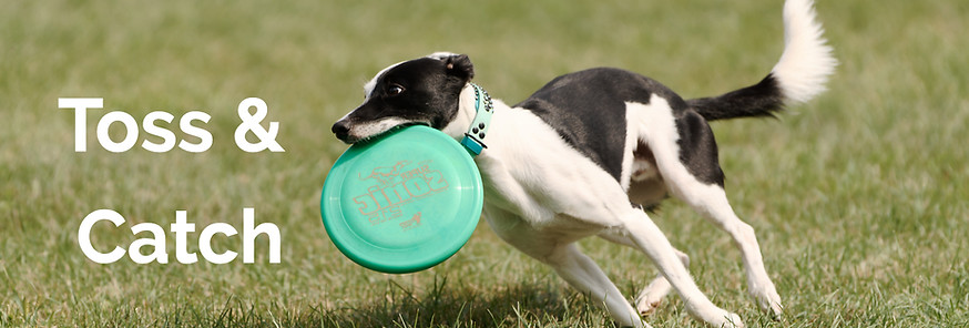 Screenshot 2026-03-02 at 12_edited.jpg