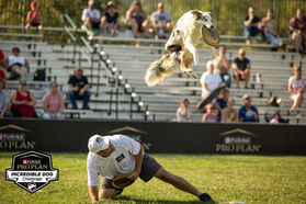 2026 Freestyle & Distance Seminars