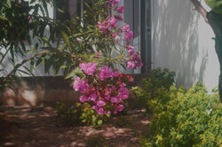 Sessão livre 1- Foto 2