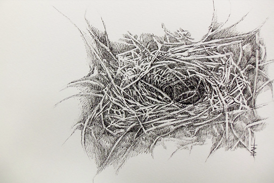 Nest.png