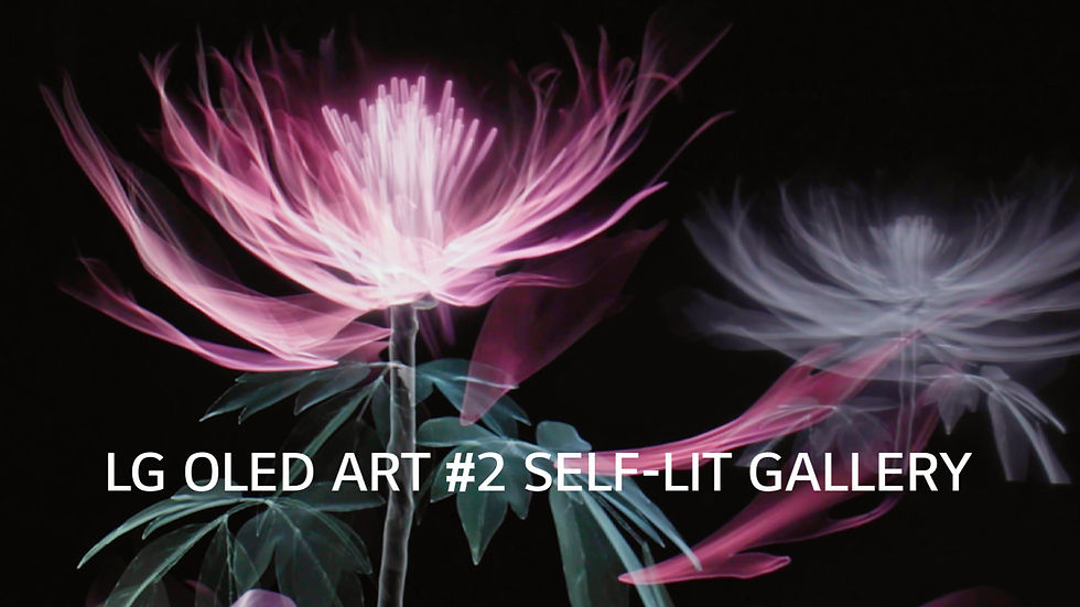 LG OLED ART│LŪX “Opening”