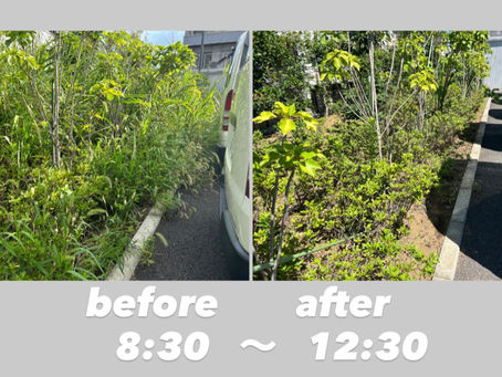 除草作業💦💦💦