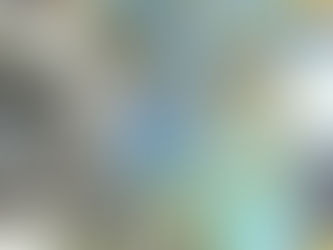 🍁イロハモミジ🍁