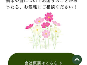 HP秋バージョン