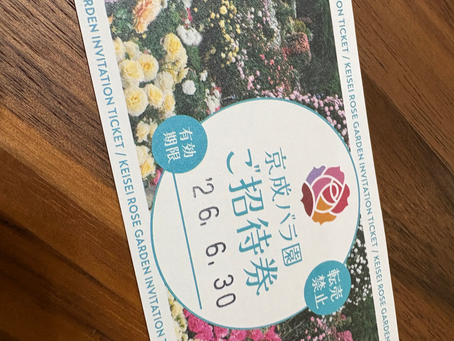 バラ園🌹