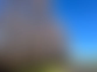 朝のお散歩☺️