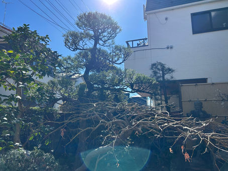 木鋏一本でのお手入れ
