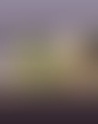 松のお手入れ🌿