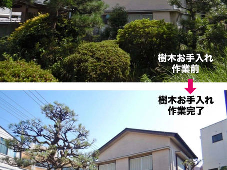 個人邸:樹木お手入れ作業