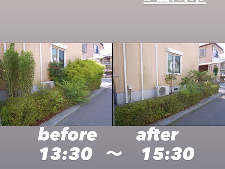 剪定・刈り込み作業🌞