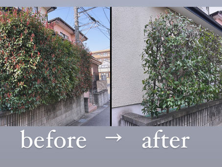 BeforeAfter
