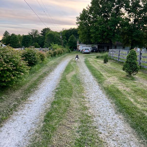 The Red Road Home