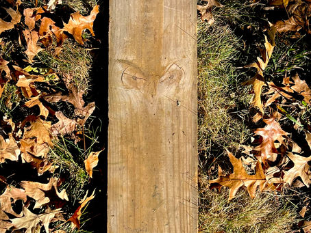 Artistic Inspirations from Life on Oz Farm