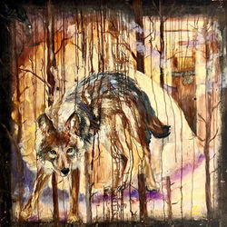coyote spirit painting